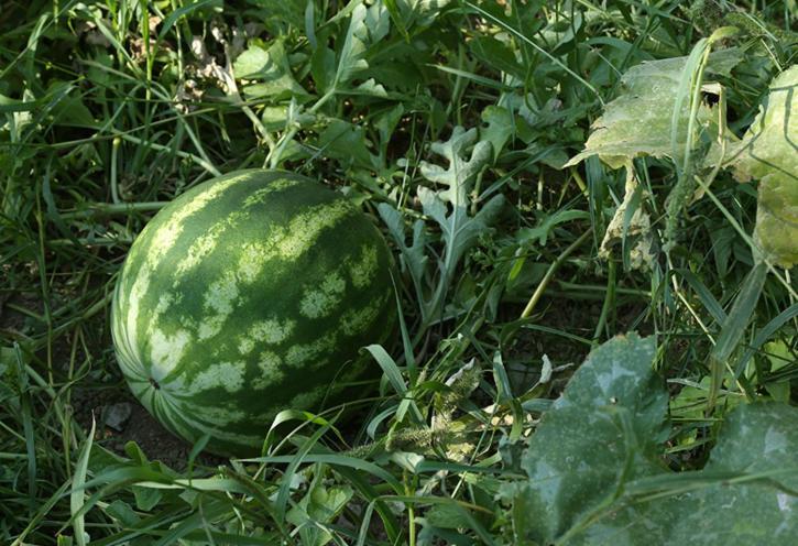 Colle Dell'ara Alojamento de Acomodação e Pequeno-almoço