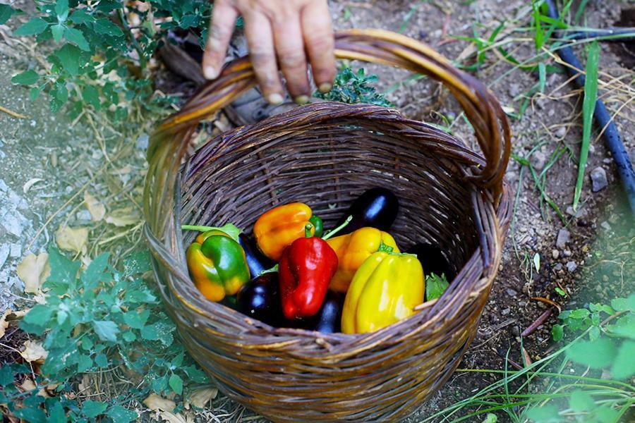 Alojamento de Acomodação e Pequeno-almoço Colle Dell'ara